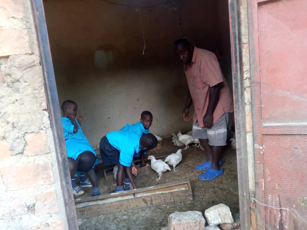 Children learning to care for chickens at the centre