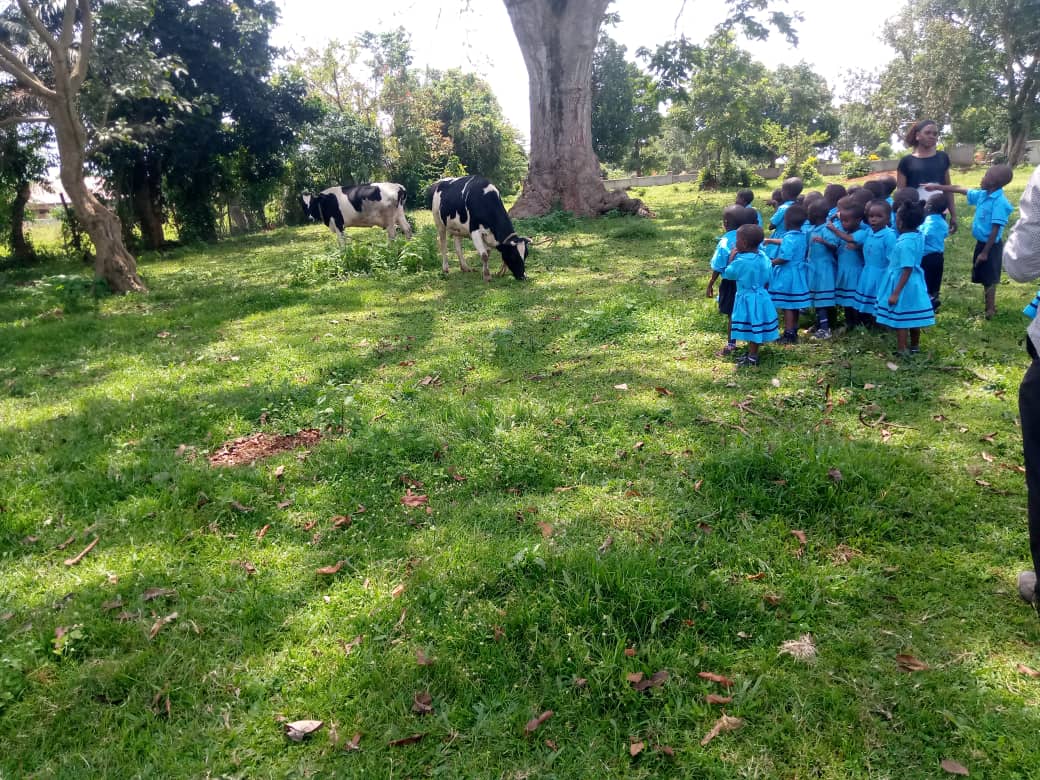 Pupils in blue uniforms walking across the field near the centre